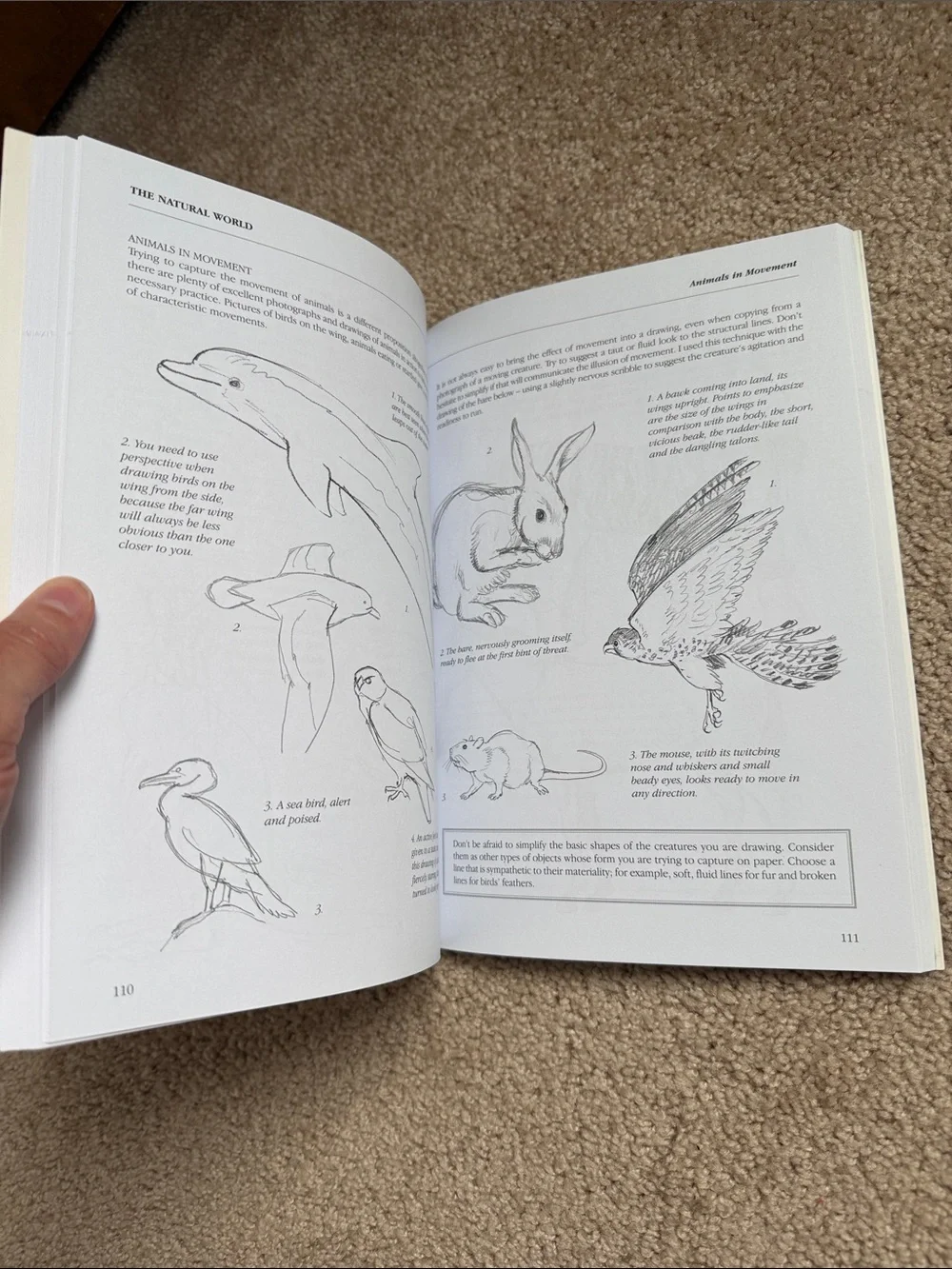 The Fundamentals of Drawing: A Complete Professional Course for Artist